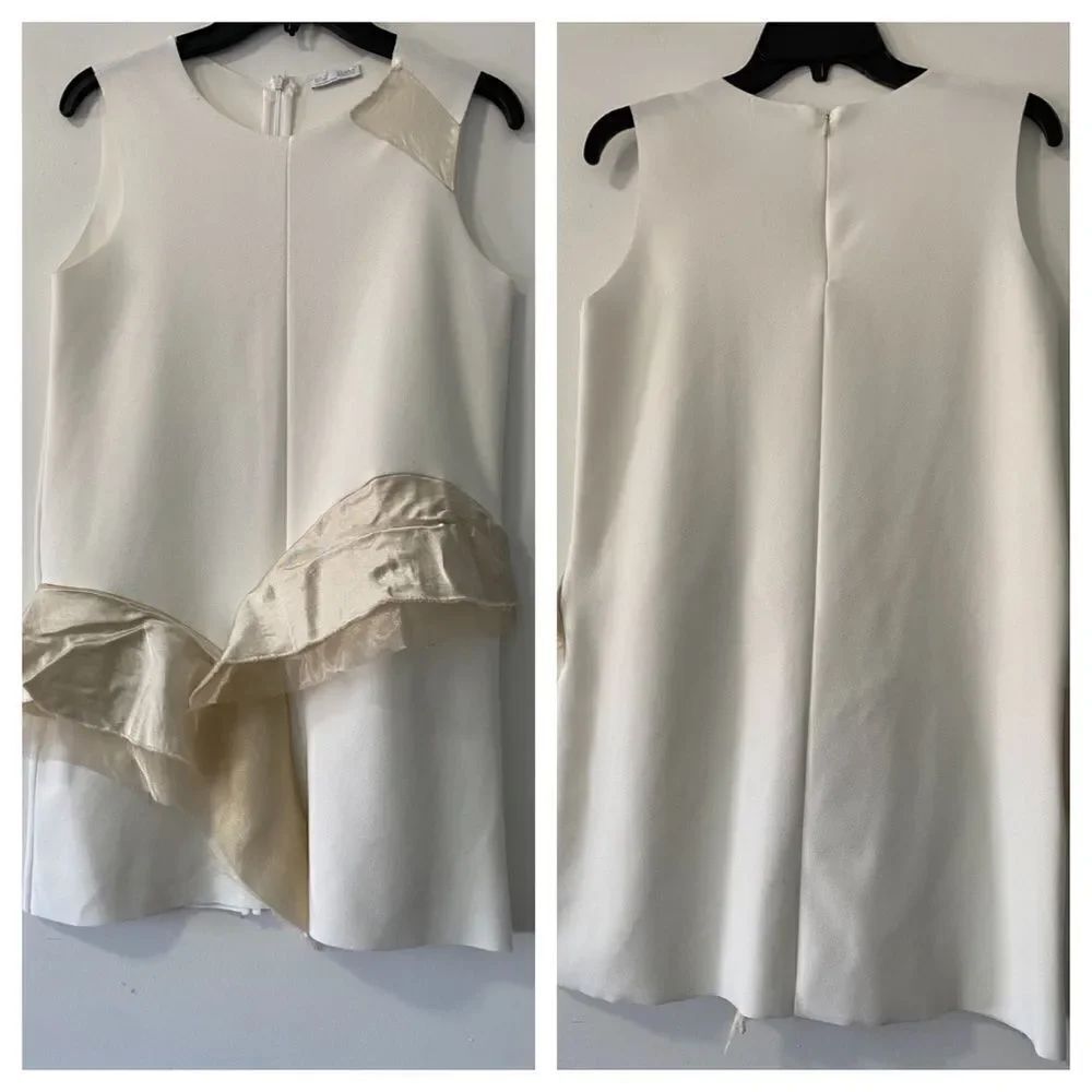Zara Dress 